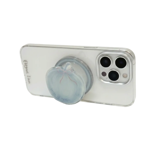 Bluberry Fruit Case